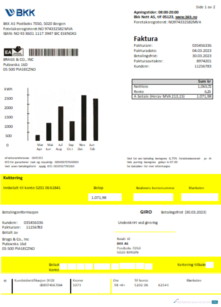 Download BKK electricity utility business bill SCR Photoshop template